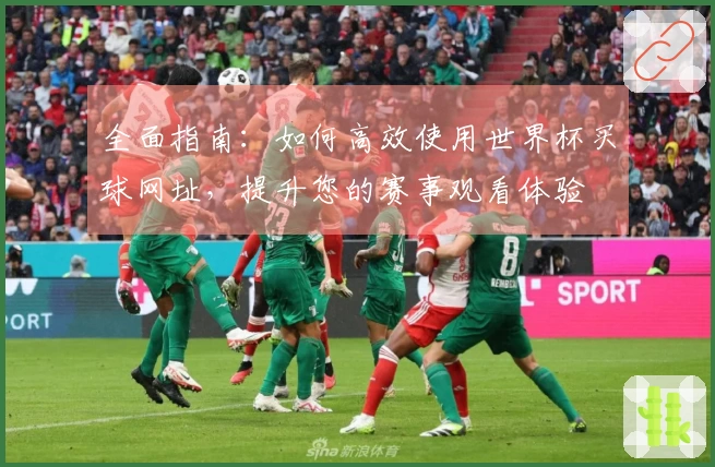 全面指南：如何高效使用世界杯买球网址，提升您的赛事观看体验