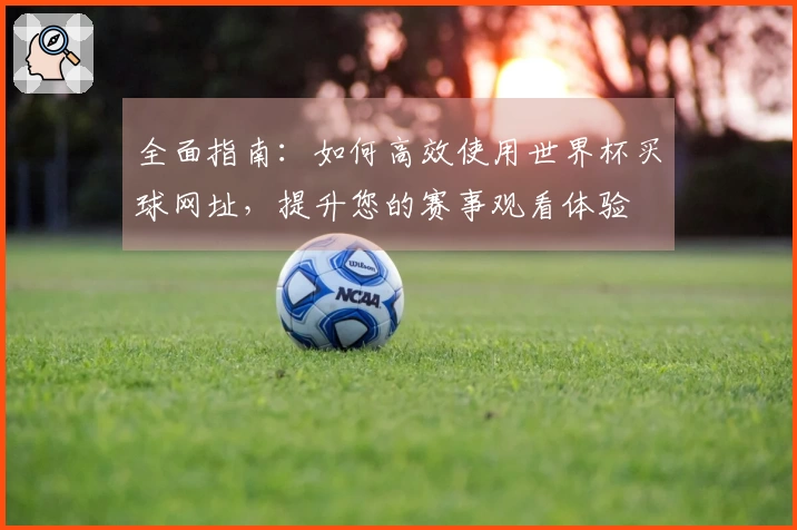 全面指南：如何高效使用世界杯买球网址，提升您的赛事观看体验